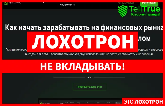 Neta Global