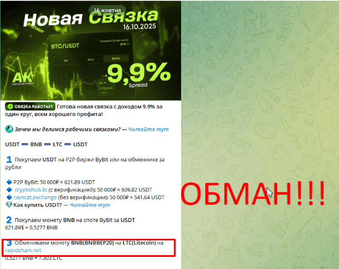 Мошеннический обменник RapidChain (rapidchain.net) Отзывы и возврат денег! 10 RapidChain отзывы