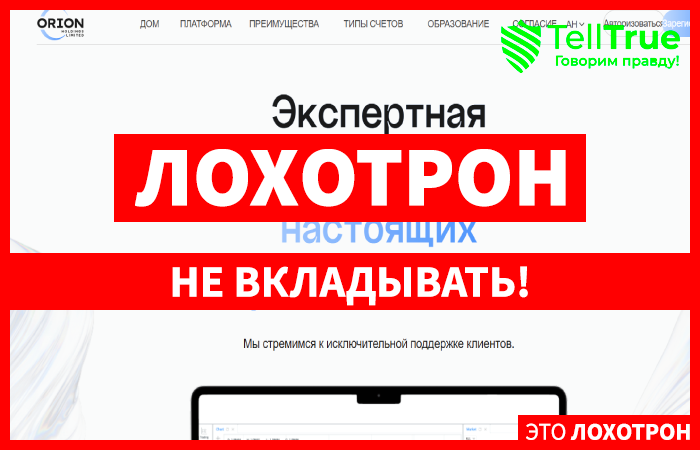 Orion Holdings Limited