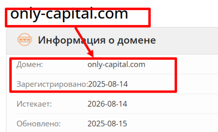 One And Only Capital возраст 
