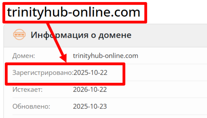Trinity Hub возраст 