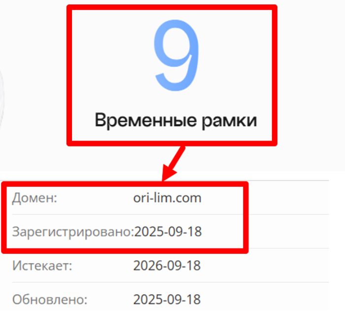 Мошеннический брокер Orion Holdings Limited (ori-lim.com) Отзывы и возврат денег! 6 Orion Holdings Limited возраст