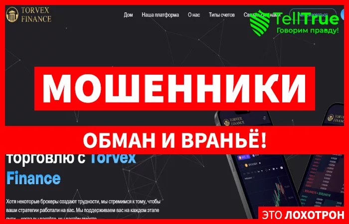 Torvex Finance