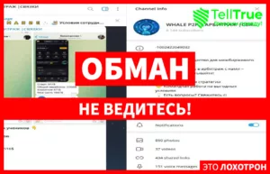 WHALE P2P | АРБИТРАЖ |СВЯЗКИ