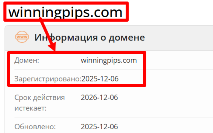 Мошеннический брокер WinningPips (winningpips.com) Отзывы и возврат денег! 6 WinningPips возраст