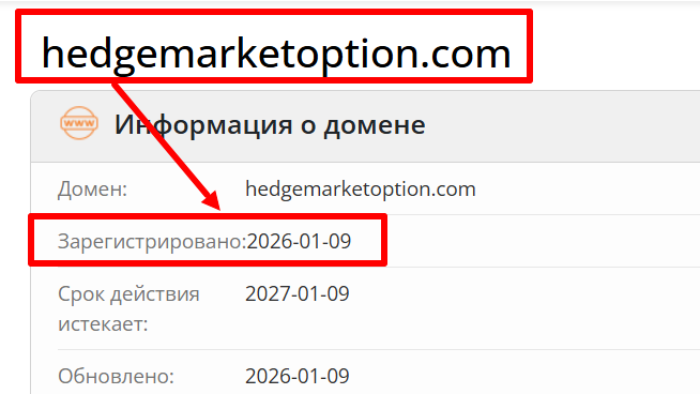 Мошеннический брокер HedgeMarketOption (hedgemarketoption.com) Отзывы и возврат денег! 6 HedgeMarketOption возраст