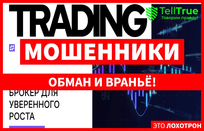 Amaxloyalty