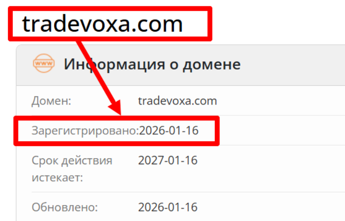 TradeVoxa возраст 