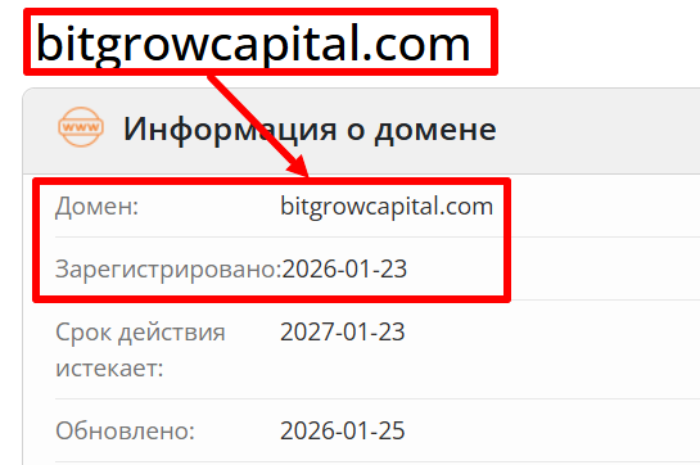 Bit Market возраст 