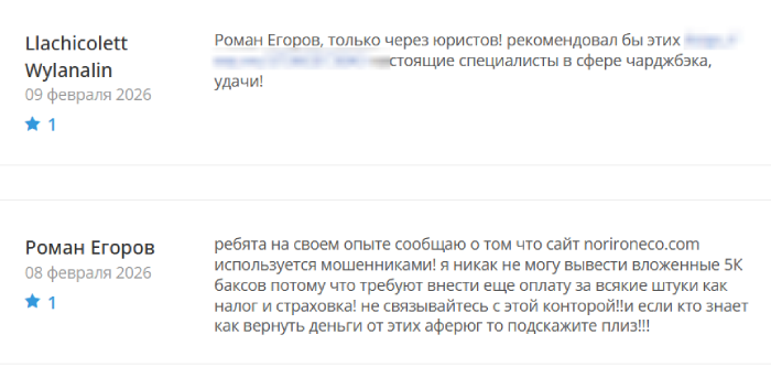 Norironeco отзывы