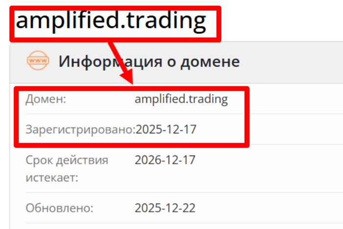 Мошеннический брокер Amplified Trading (amplified.trading) Отзывы и возврат денег! 6 Amplified Trading возраст