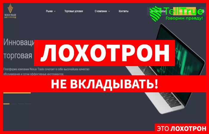 Nexus Trade Company