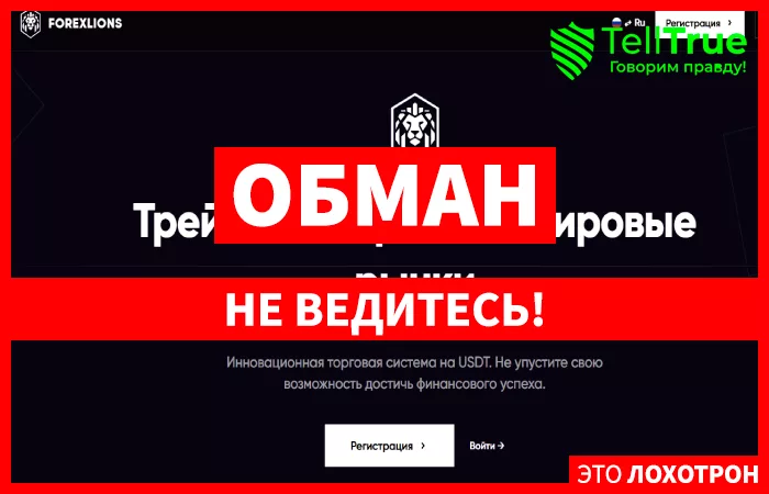 Forexlions