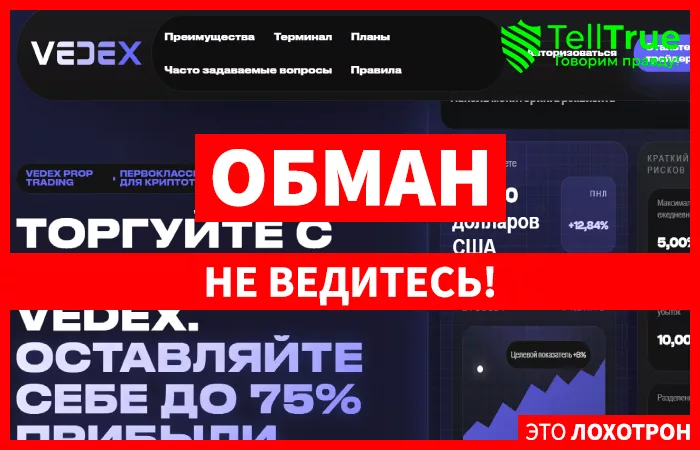 Vedex