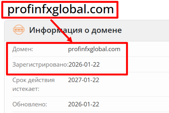 ProfinFXGlobal возраст 
