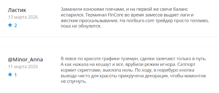 Noriburo отзывы