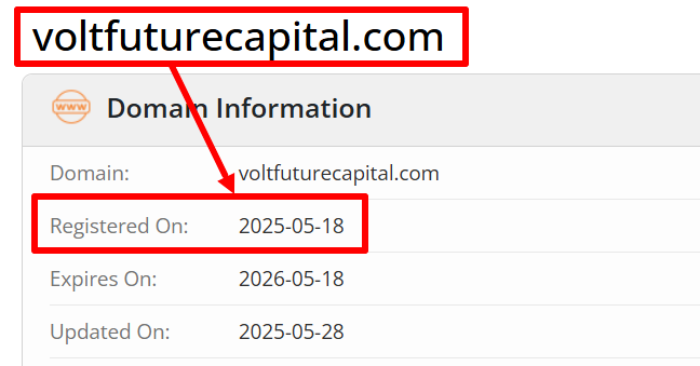 Voltfuture Capital возраст 