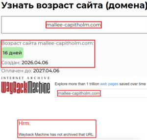 Мошеннический брокер Mallee Capitholm (mallee-capitholm.com). Отзывы и возврат денег