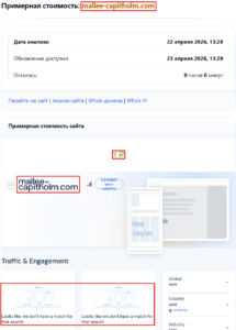 Мошеннический брокер Mallee Capitholm (mallee-capitholm.com). Отзывы и возврат денег