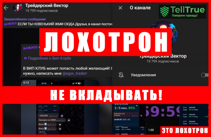 Мошеннический телеграм-канал Трейдерский Вектор (t.me/joinchat/1xYUrt86n0AwMWIy). Отзывы и возврат денег
