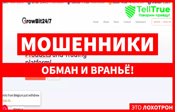 Grow Bit 24/7