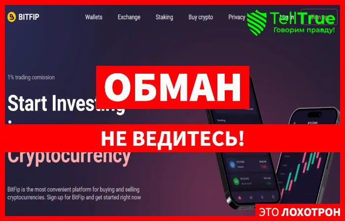 BitFip