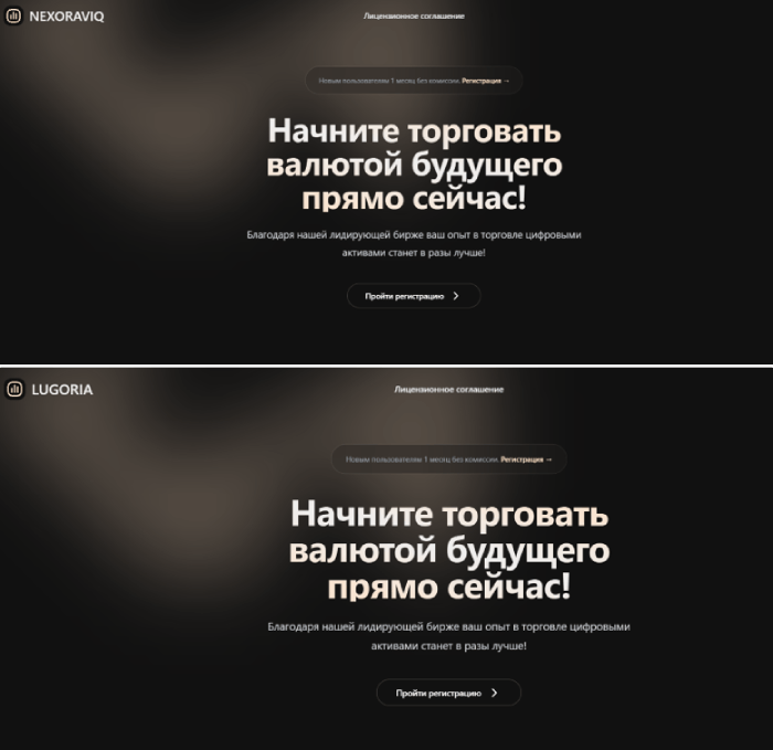 Мошеннический брокер Nexoraviq (nexoraviq.pro) Отзывы и возврат денег! 9 Nexoraviq отзывы