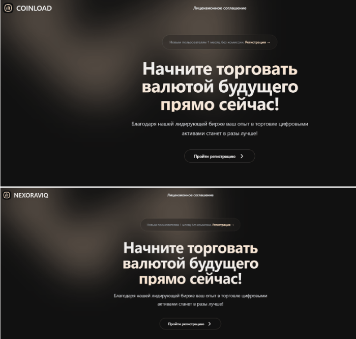 Мошеннический брокер Coinload World (coinload.world) Отзывы и возврат денег! 9 Coinload World копии