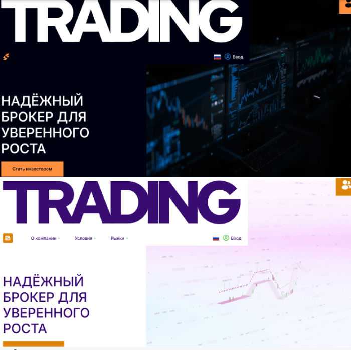 Selvaldea копии 