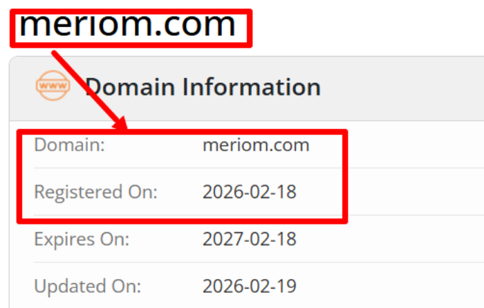 Merion Ltd возраст 