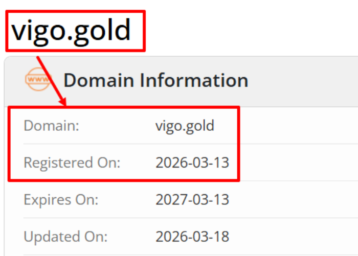 Мошеннический брокер VIGO (vigo.gold) Отзывы и возврат денег! 6 VIGO возраст