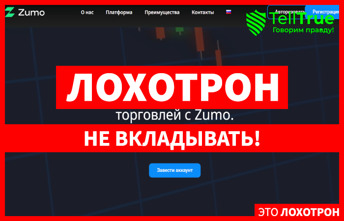 Zumo