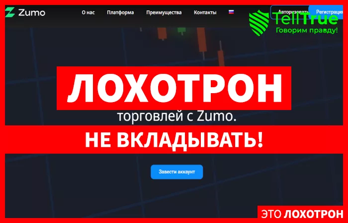 Zumo