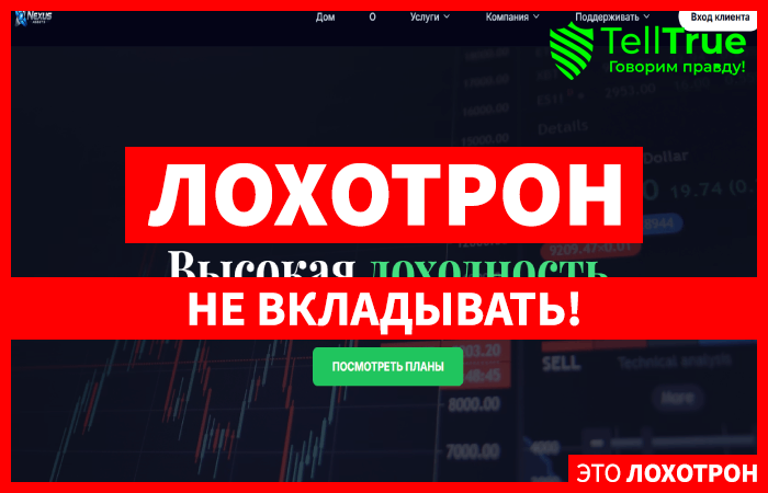 Nexusassethub