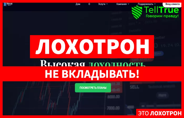 Nexusassethub