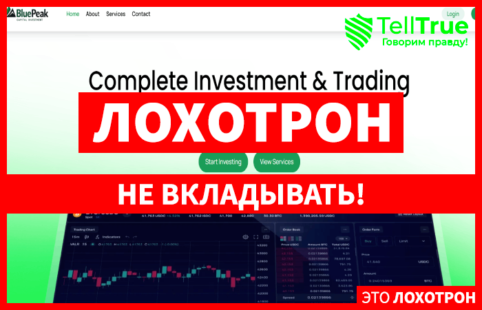 BluePeak Capital Investment