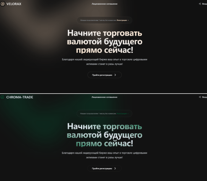 VELORAX копии