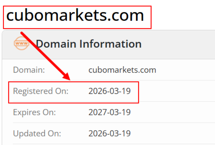 Мошеннический брокер Cubo Markets (cubomarkets.com) Отзывы и возврат денег! 6 Cubo Markets возраст