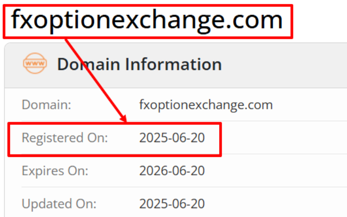 Мошеннический брокер Fx Option Exchange Limited (fxoptionexchange.com) Отзывы и возврат денег! 6 Fx Option Exchange Limited возраст