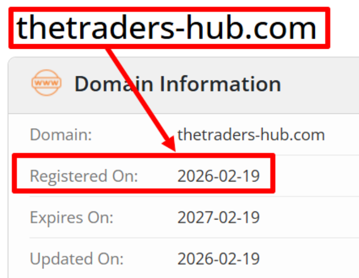TheTradersHub возраст 