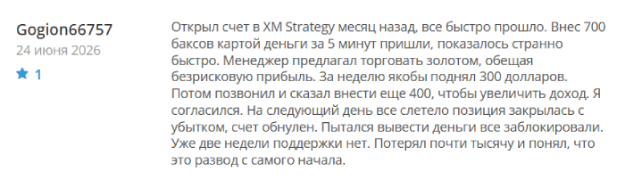 Xmstrategy отзывы