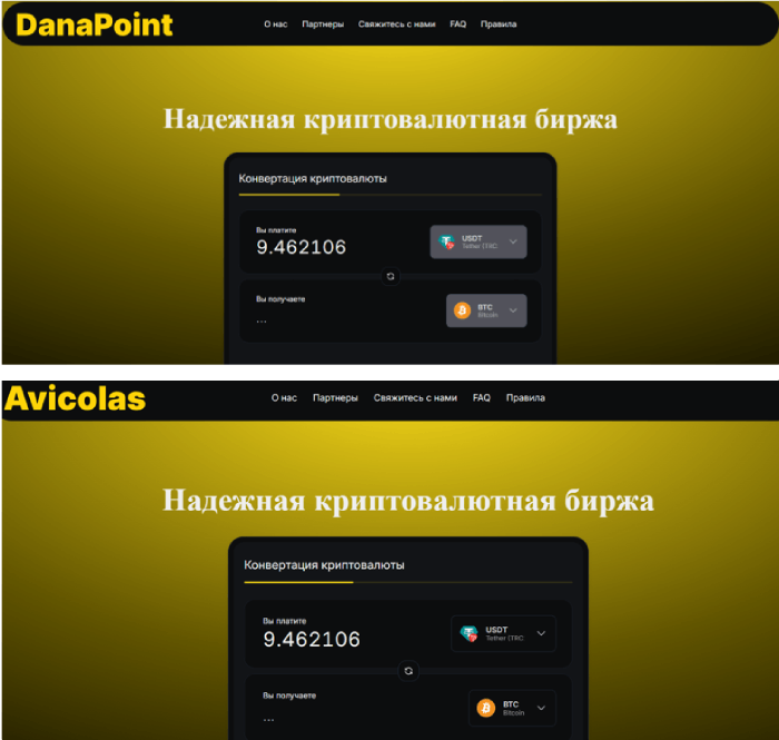 Мошеннический обменник DanaPoint (dana-point.com) Отзывы и возврат денег! 6 DanaPoint копии