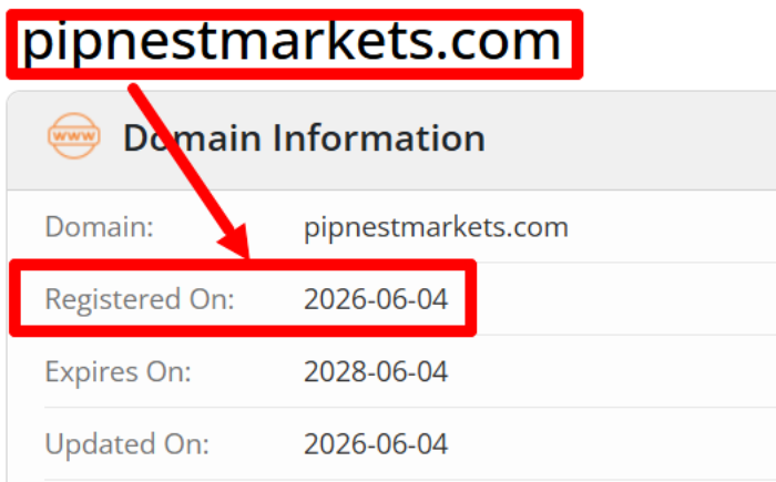 Мошеннический брокер PipNest Markets (pipnestmarkets.com) Отзывы и возврат денег! 6 PipNest Markets возраст