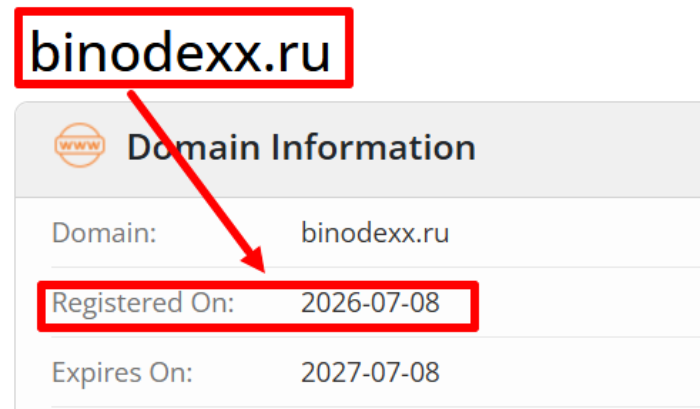 Мошеннический брокер Binodex (binodexx.ru) Отзывы и возврат денег! 6 Binodex возраст