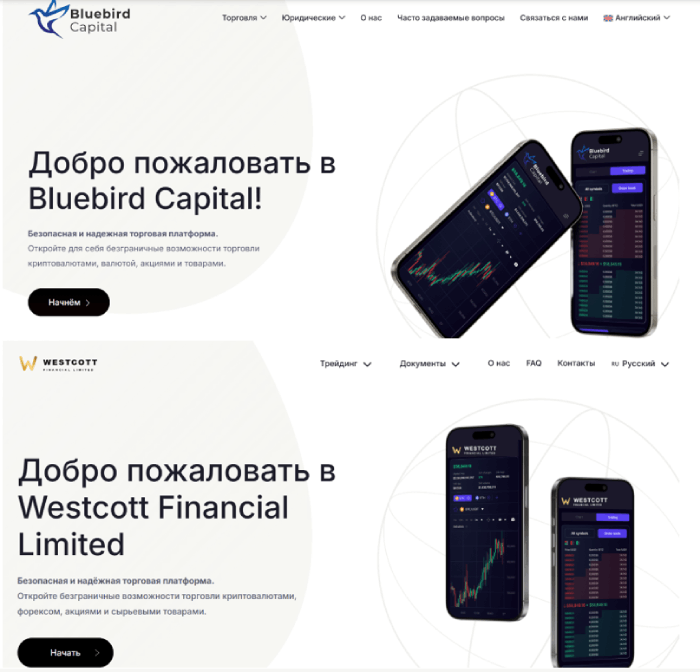 Мошеннический брокер Bluebird Capital (bluebirdsrl.com) Отзывы и возврат денег! 9 Bluebird Capital копии