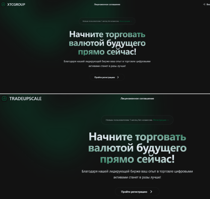 Мошеннический брокер XTCGROUP (xtcgroup.vip) Отзывы и возврат денег! 9 XTCGROUP копии