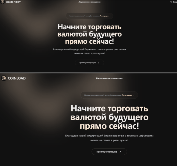 Мошеннический брокер Oxoentry (oxoentry.pro) Отзывы и возврат денег! 9 Oxoentry копии