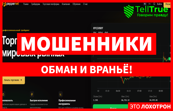 PepperNet Ltd