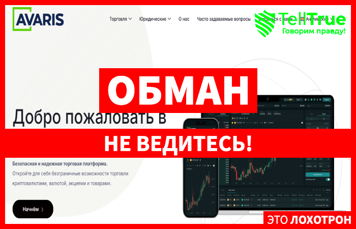 AvarisLlc